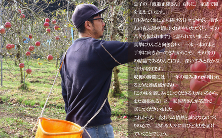 【訳アリ！ 】サンふじ 5kg（ 川崎町産 ）|りんご 林檎