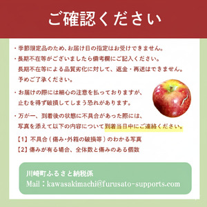 【訳アリ！ 】サンふじ 5kg（ 川崎町産 ）|りんご 林檎