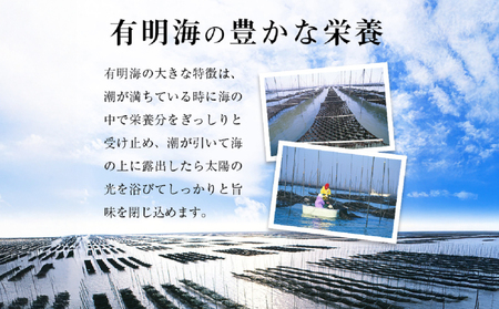 《訳あり》焼き海苔 福岡有明のり 合計104枚(2切8枚×13袋)|焼き海苔 有明海苔 SWE