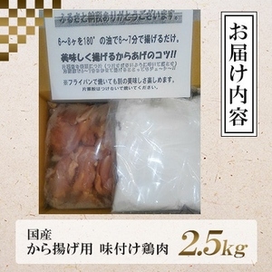 唐揚げ 2.5kg 鶏肉｜唐揚げ NDM