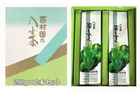 【八女高級煎茶】100g×2本セット【ホッとする味わい】 N8