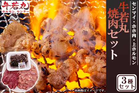 2b9 牛若丸 三種盛り 焼肉セットセンマイ ホホ肉 上ホルモン 福岡県川崎町 ふるさと納税サイト ふるなび