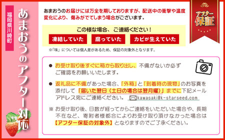 エコファーマー認定農家 直送！福岡県産 あまおう【 280g×2 パック