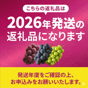 【2026年8月中旬から発送予定 】種なし 巨峰 ２kg 箱詰め ぶどう | ぶどう OHT
