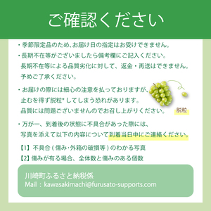 【2026年8月中旬から発送予定 】種なし 巨峰 ２kg 箱詰め ぶどう | ぶどう OHT