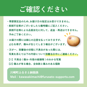 【2025年9月中旬頃から発送予定】 梨 5㎏ 新高 梨 予約 梨 梨 梨 梨 梨 梨 IDG003