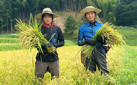【新米】赤村産棚田米こだわりの夢つくし(玄米)10kg J2-S