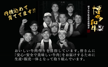 【厳選部位】博多和牛サーロインしゃぶしゃぶすき焼き用 300g Y14-S