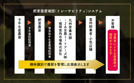 訳あり！博多和牛モモブロック（ローストビーフ用等）約500ｇ～600ｇ  Y33