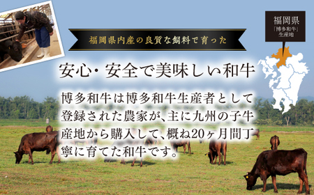 訳あり！【A4～A5】博多和牛焼肉切り落とし(肩ロース・バラ）500ｇ  Y40