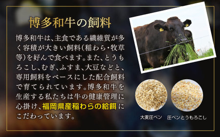 訳あり！【A4～A5】博多和牛焼肉切り落とし(肩ロース・バラ）500ｇ  Y40