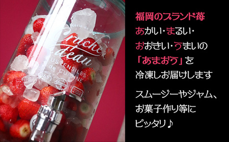 【冷凍】博多　あまおう　３.２ｋｇ（８００ｇ×４袋） 2L3-S