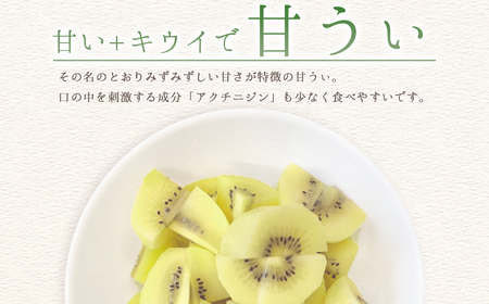福岡県産 キウイ 甘うぃ 約1.4kg (9玉)  キウイ キウイフルーツ  kiwi 果物 フルーツ 送料無料 3W25