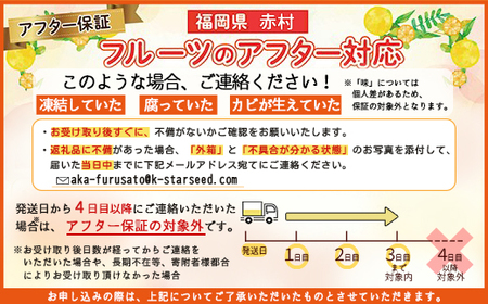 福岡県産 キウイ 甘うぃ 約1.4kg (9玉)  キウイ キウイフルーツ  kiwi 果物 フルーツ 送料無料 3W25