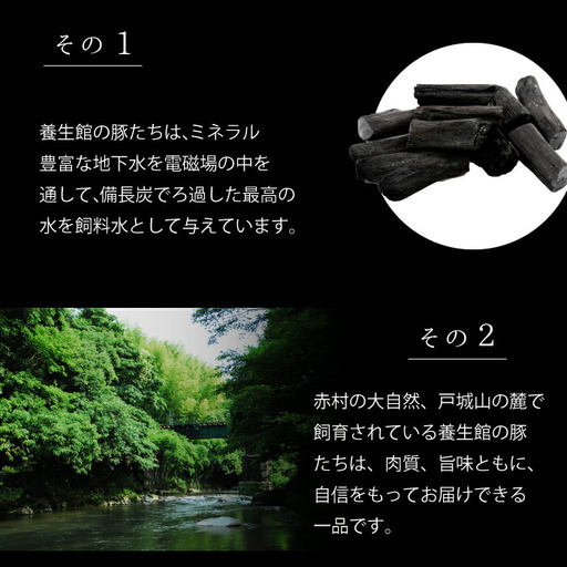 赤村養生館 ポークメンチカツ 8個 B20 