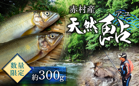 冷凍鮎　約300g 3E4