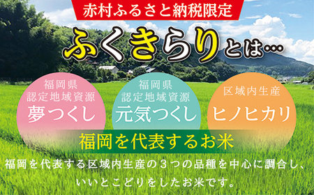 令和6年産 【緊急支援品】【数量限定】訳あり ふくきらり 米 合計20kg (5kg×4)ふるさと納税 米 福岡県 赤村 の おいしい お米 こめ おこめ 白米 精米 国産  限定 ごはん ご飯 白飯 ゴハン ふるさと ランキング 人気 おすすめ (品番:3X9)