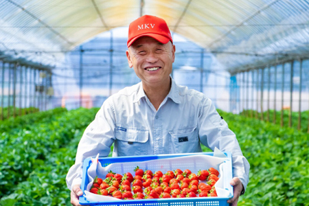 福岡県産あまおう【280g×2パック】 2Z5-S