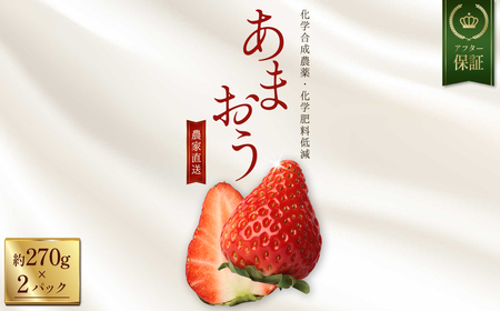 特別栽培 農家直送 あまおう 約270ｇ前後 × 2パック ふるさと納税 いちご イチゴ 苺 赤村 果物 くだもの フルーツ ジャム にも ケーキ にも 先行予約 数量限定 ふるさと ランキング 人気 おすすめ 福岡 3W30