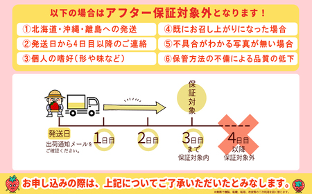 特別栽培 農家直送 あまおう 約270ｇ前後 × 2パック ふるさと納税 いちご イチゴ 苺 赤村 果物 くだもの フルーツ ジャム にも ケーキ にも 先行予約 数量限定 ふるさと ランキング 人気 おすすめ 福岡 3W30