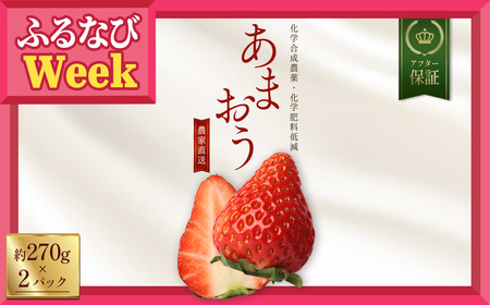 【ふるなびWEEK対象】【数量限定】 特別栽培 農家直送 福岡県産 あまおう 約270ｇ前後×2パック いちご 苺 ベリー 果物 フルーツ　3W30-fn (FN-Limited-PR)