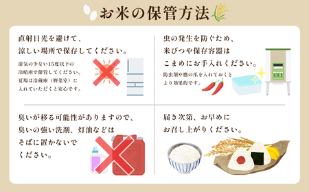 赤村産米 農家直送 【数量限定】 精米 夢つくし (年内発送) 10kg 4U1