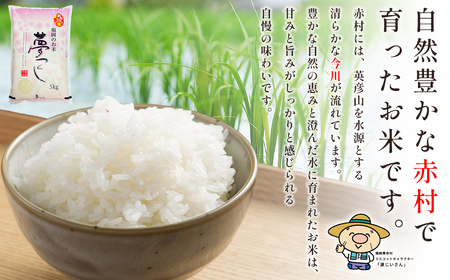 【10営業日以内に発送】 赤村産米 農家直送 【数量限定】 精米 夢つくし 5kg 4U2