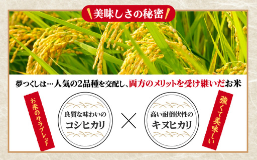 【数量限定】夢つくし(精米) 福岡県産ブランド米 15kg (品番:3X12)