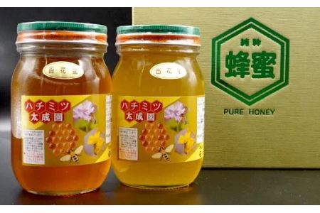 蜂蜜（百花蜜６００ｇ）２個セット K1
