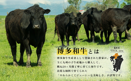 【福岡県産】博多和牛 切り落とし 1.6kg (400g×4P) 送料無料 肉 牛肉 冷凍 切り落とし 小分け カレー すき焼き 牛丼 生姜焼き 肉じゃが 和牛 国産 2L6