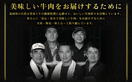 【福岡県産】博多和牛 切り落とし 1.6kg (400g×4P) 送料無料 肉 牛肉 冷凍 切り落とし 小分け カレー すき焼き 牛丼 生姜焼き 肉じゃが 和牛 国産 2L6