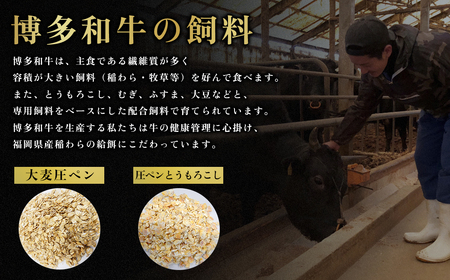 【福岡県産】博多和牛 切り落とし 1.6kg (400g×4P) 送料無料 肉 牛肉 冷凍 切り落とし 小分け カレー すき焼き 牛丼 生姜焼き 肉じゃが 和牛 国産 2L6