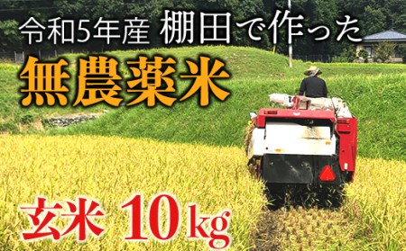 ｊ２ 新米 赤村産棚田米こだわりの夢つくし 玄米 １０ｋｇ 福岡県赤村 ふるさと納税サイト ふるなび