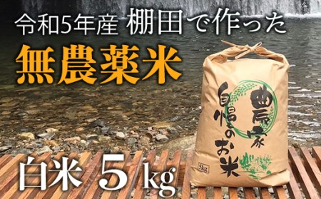 【新米】赤村産棚田米こだわりの夢つくし（精米）５ｋｇ J4