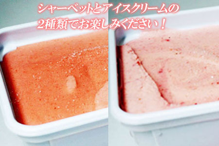 プレミアムあまおうジェラート2種セット 3SB2