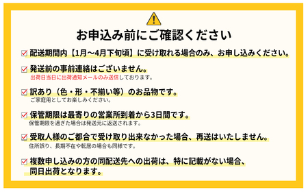 福岡県産 あまおう 約1,080g（約270g×4） ふるさと納税 いちご イチゴ 苺 ベリー ビタミン 博多 高級 デザート 果物 くだもの フルーツ ジャム にも ケーキ にも 送料無料 数量限定 ふるさと ランキング 人気 おすすめ 福岡 赤村 3W1