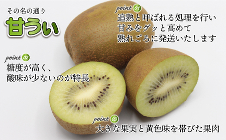 【福岡県産】キウイフルーツ「博多甘うぃ」化粧箱入り約1.4kg 2L10