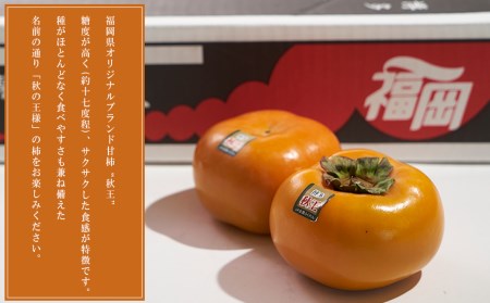 4A18 福岡限定!ブランド柿「秋王(あきおう)」約1.5kg(4-6玉)