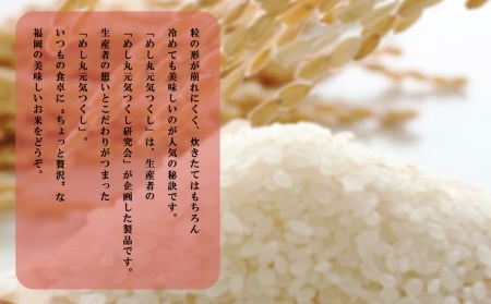 4A24 果物屋さんが選んだ米「元気つくし」5kg | 福岡県赤村 | ふるさと