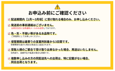 福岡県産 あまおう 約1000g前後(約250g×4)1月~3月発送 3KC1