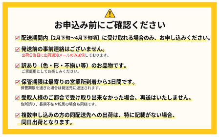 博多あまおう 約270 × 4パック ふるさと納税 あまおう いちご イチゴ 苺 博多 高級 デザート 果物 くだもの フルーツ ジャム にも ケーキ にも 先行予約 数量限定 送料無料 ふるさと ランキング 人気 おすすめ 福岡 赤村 3W12