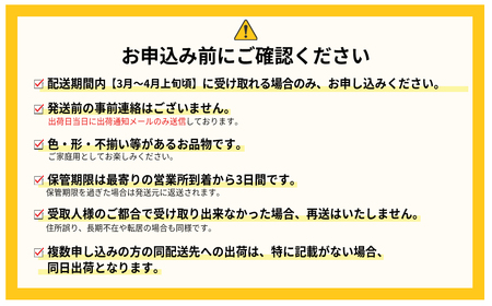JAむなかた直送!食べきりサイズ「博多あまおう」約180g×4パック 2L11