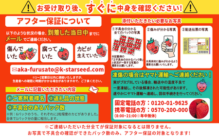 JAむなかた直送！食べきりサイズ「博多あまおう」約180g×8パック 2L12