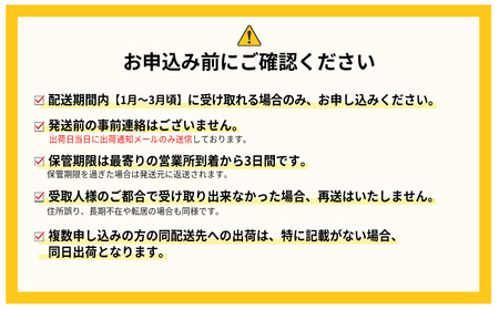 暖家のいちご　ギフト用完熟あまおう（８粒～９粒）×4パック 4H2