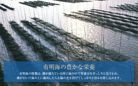 P26-36 【訳あり】有明海産 焼き海苔 2切8枚×13袋 【SHINWN】 【fukuchi00】