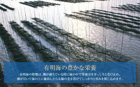 P26-37 有明海苔 味海苔 8切8枚×40袋 【SHINWN】 【fukuchi00】