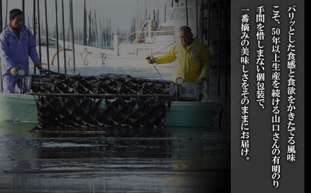 P61-77 一番摘み 高級 有明海苔　100枚 【wksg01】 【fukuchi00】