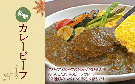 U08-07 無添加　みろくの薬膳　生カレー（チキン・ビーフ）各4食  カレー 薬膳 ビーフカレー チキンカレー セット 詰め合わせ 小分け 湯せん【YUKU】 【fukuchi00】