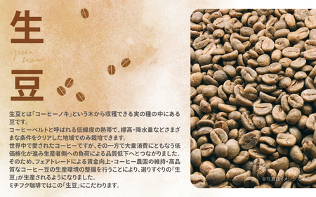 W70-02 ミチフク珈琲A(エチオピア豆) 