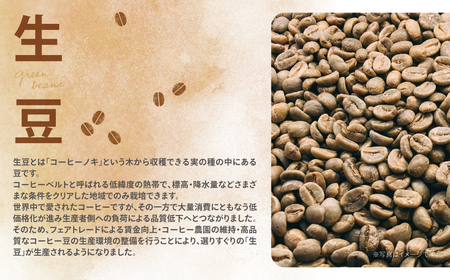 W70-01 ミチフク珈琲（ブレンド）